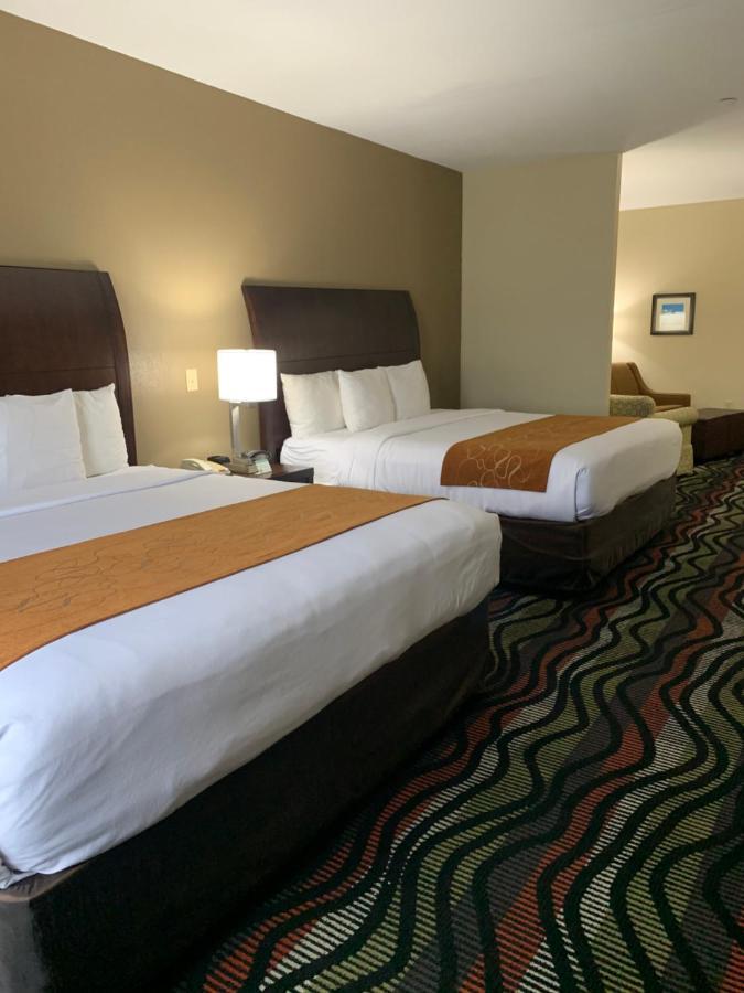 Comfort Suites Beaumont I-10 Kültér fotó